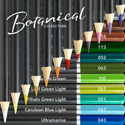 24 Piece Botanical Coloured Pencil Set in Display Tin